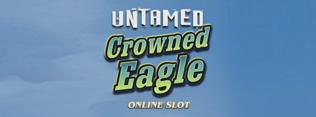 untamed crown eagle