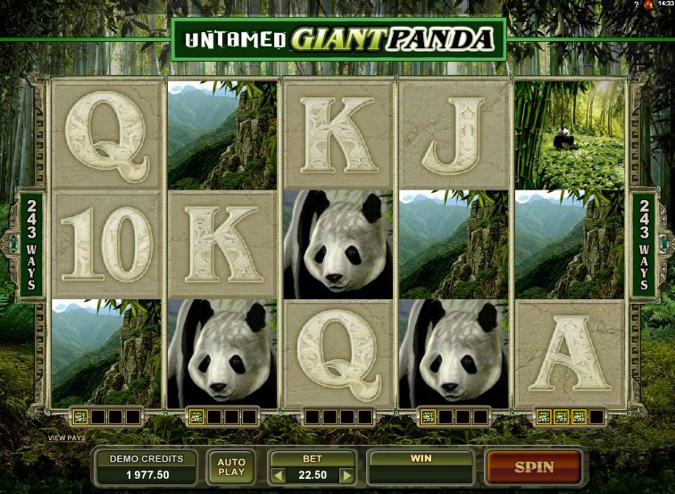 untamed-giant-panda-slot-gs