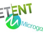 NetEnt and Microgaming Slots